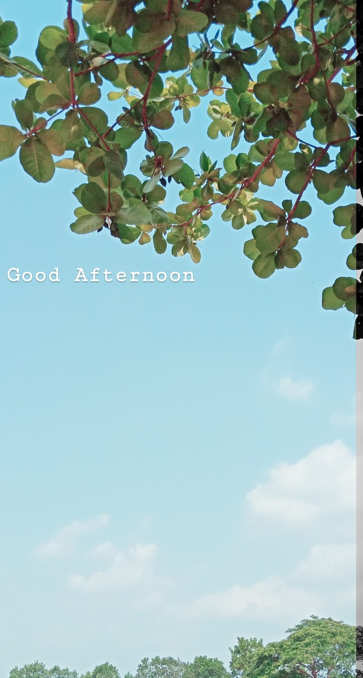 Good Afternoon
