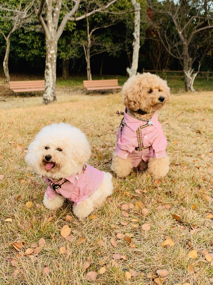 Lucky & Money