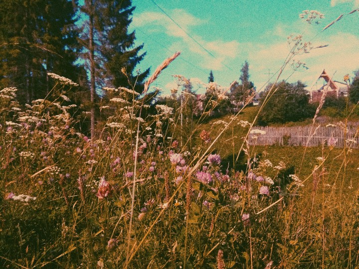 nature