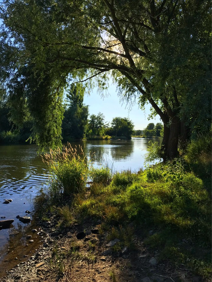Märchenbaum