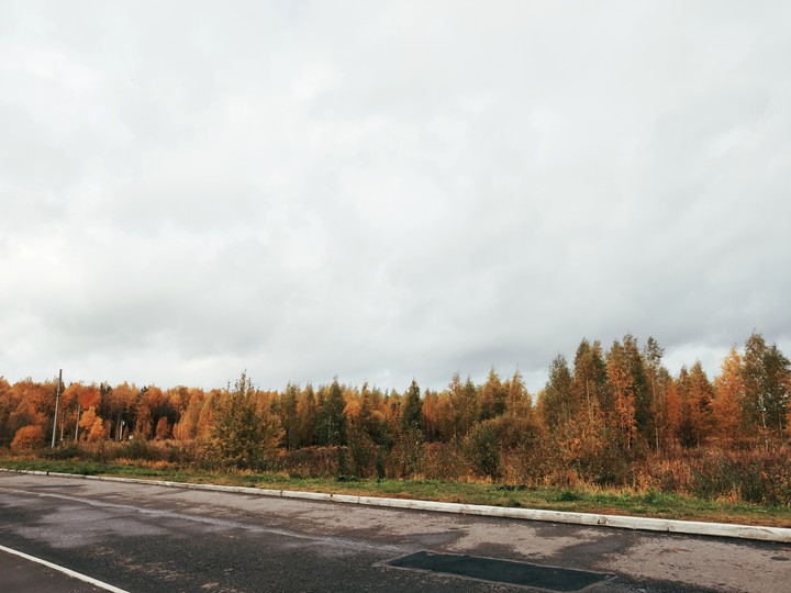 autumn