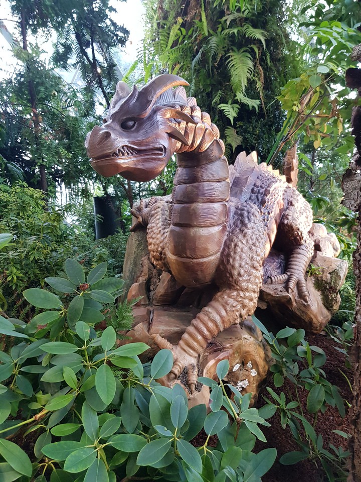dragon