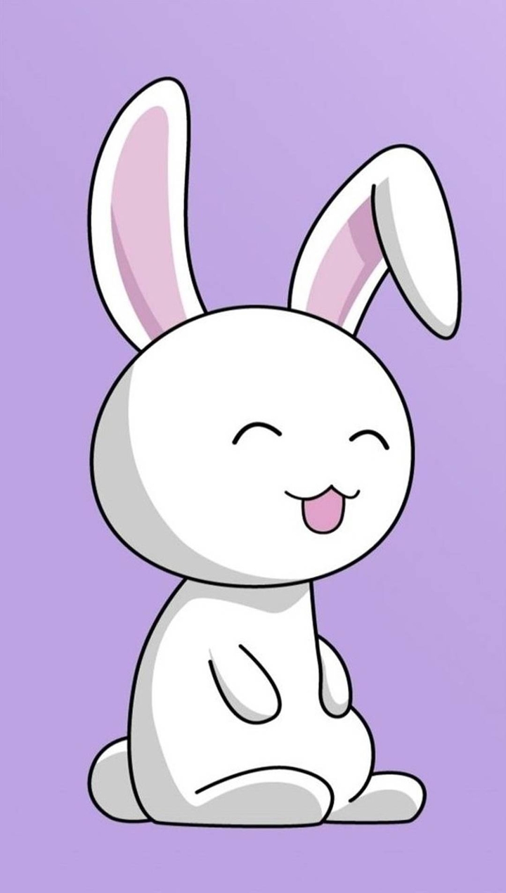 bunny