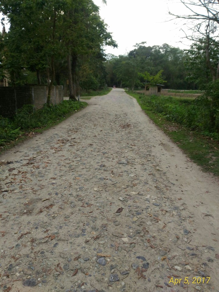 A village road