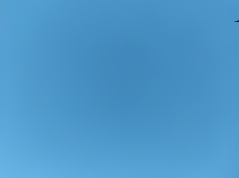 fonds d'écran aircraft, bird