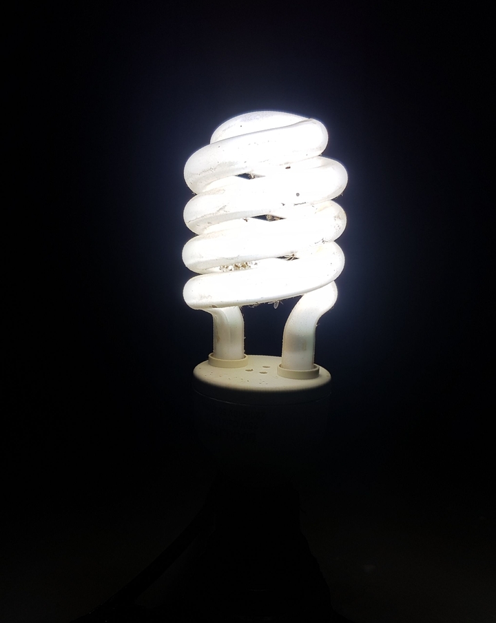 Light