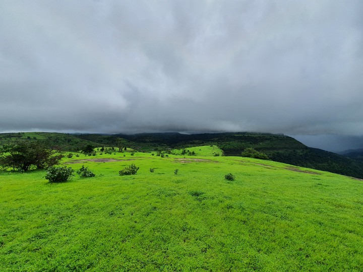 nature
