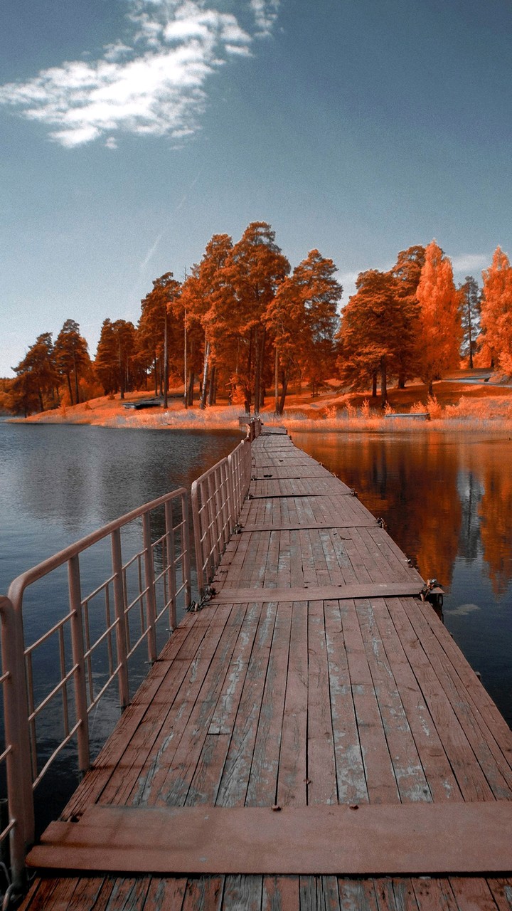 Autumn's excuse for love