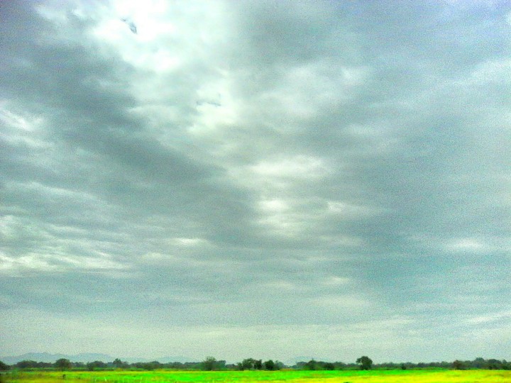 cielo y pastizal