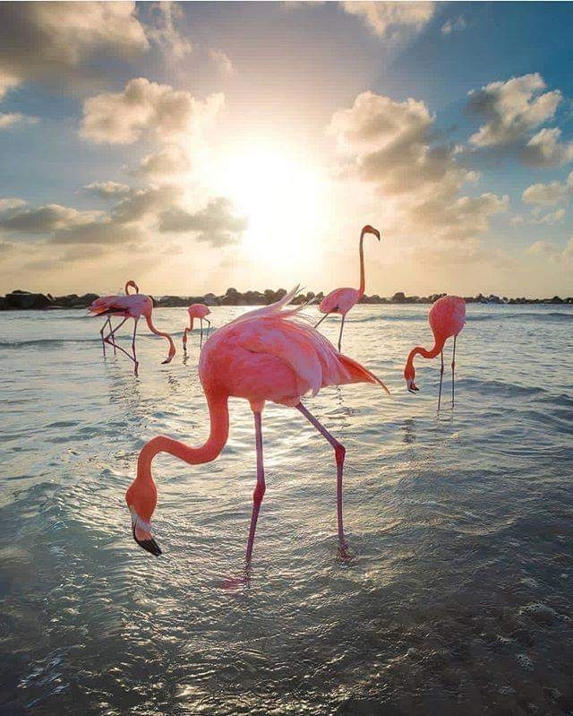 bord de mer