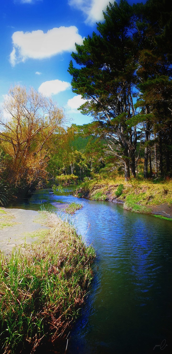River in Auckland