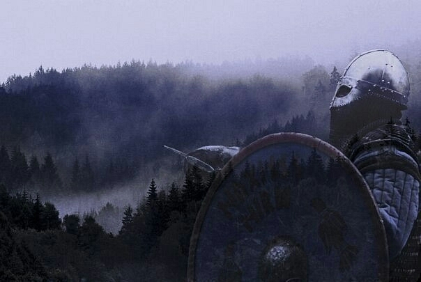 Forest of north