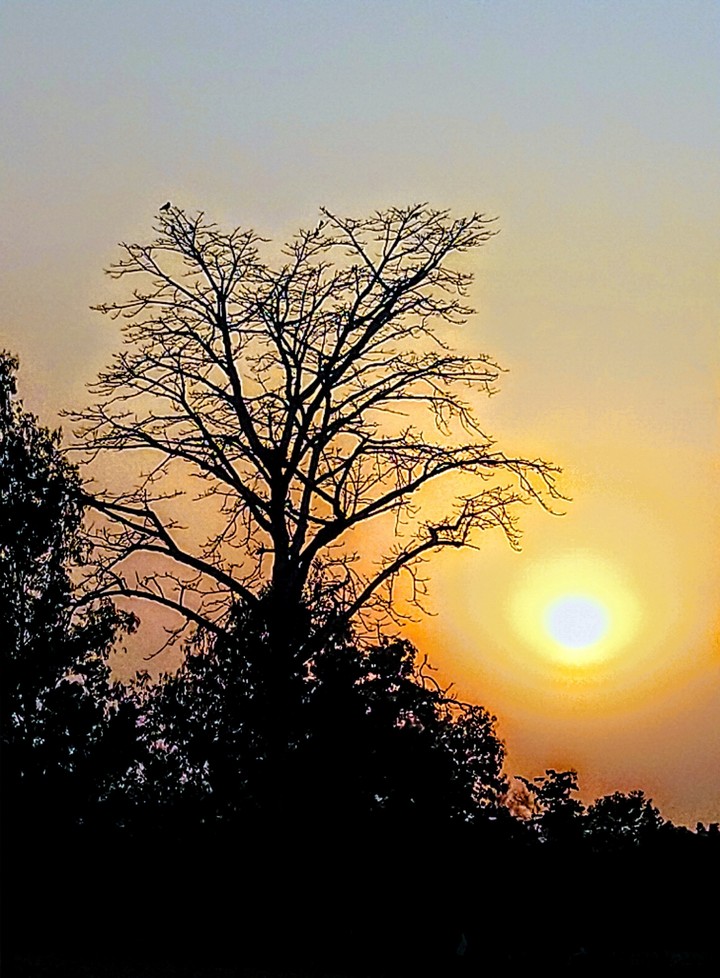 sunset ....