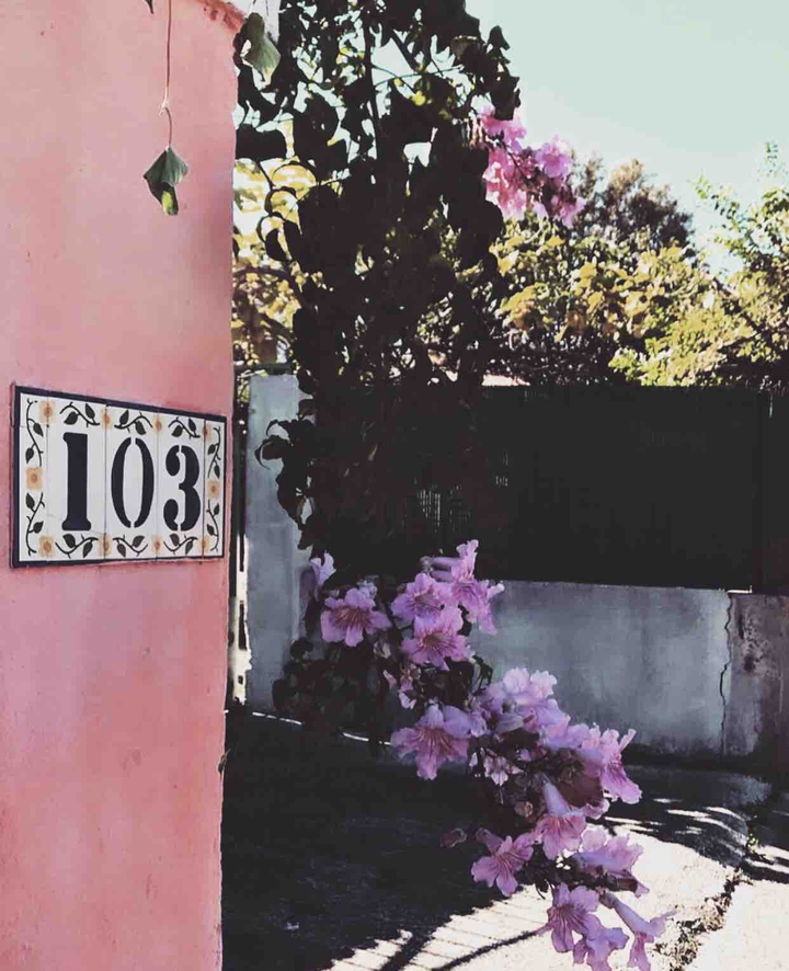 F L O W E R S