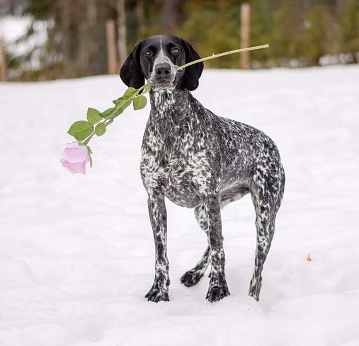 ❤