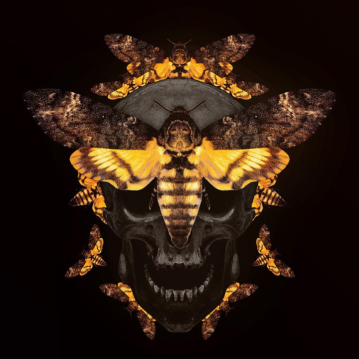 Black and Yellow