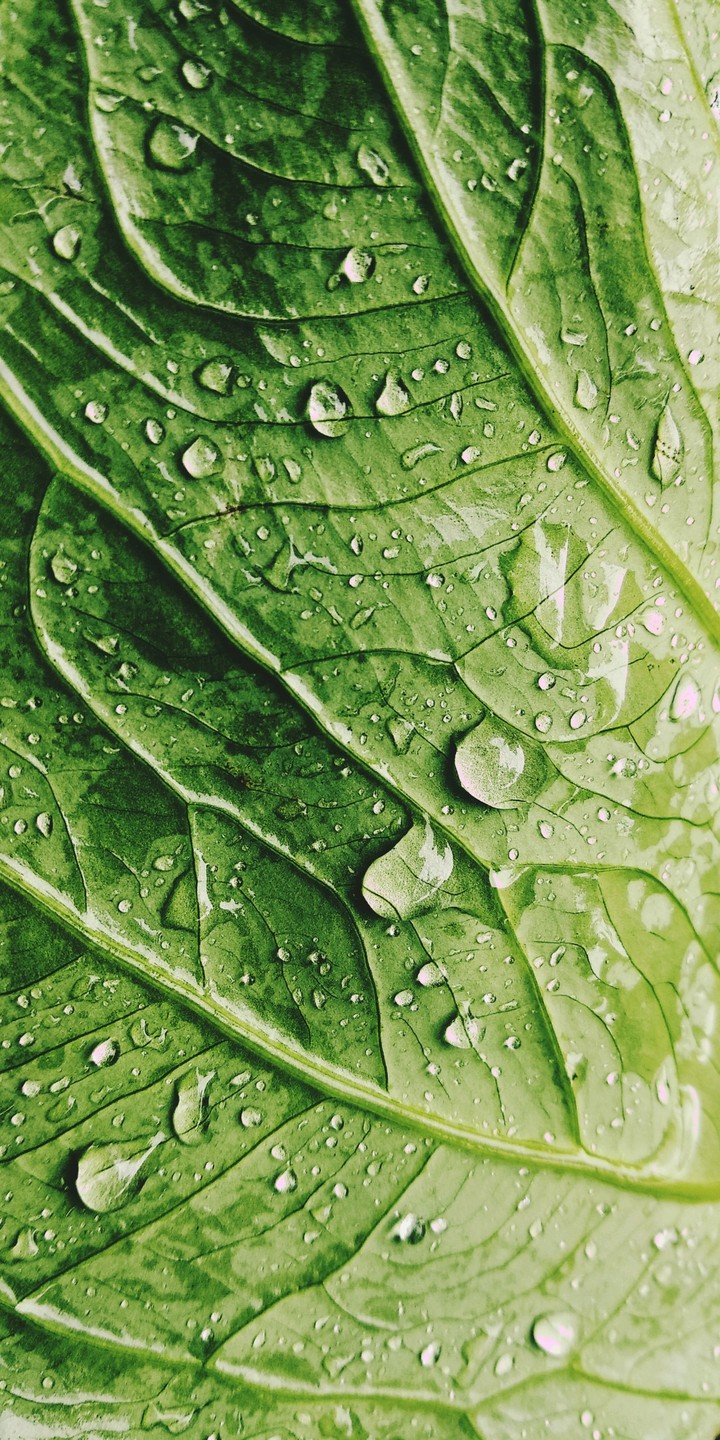 #Raindrops