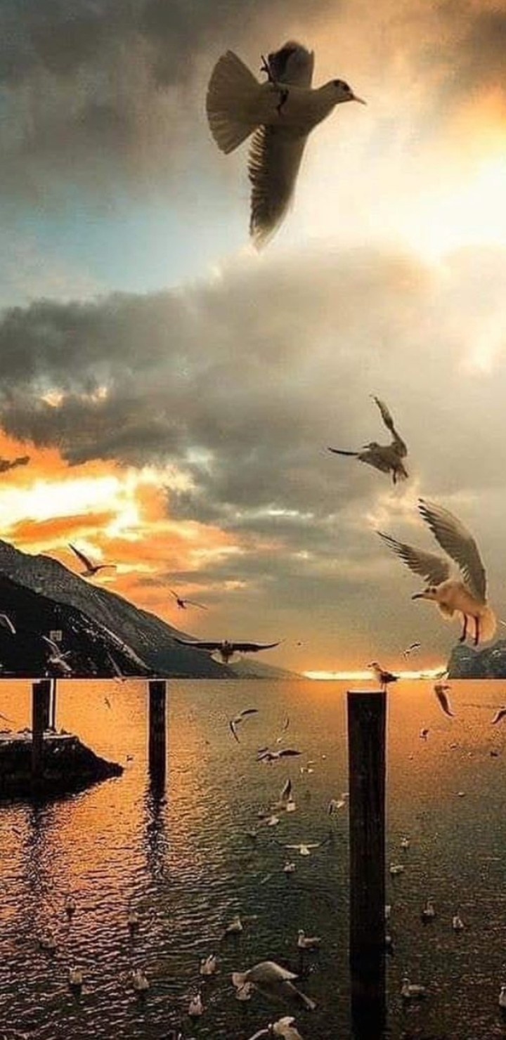 سبحان الله