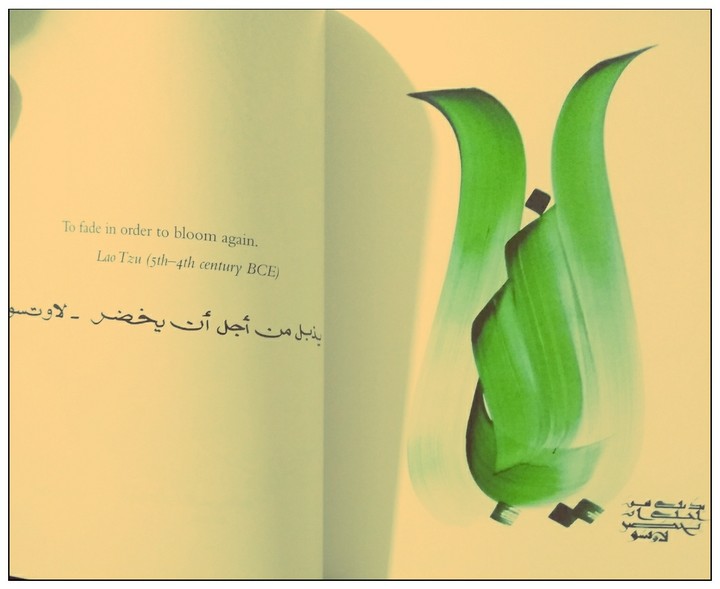 wise words, amazing art