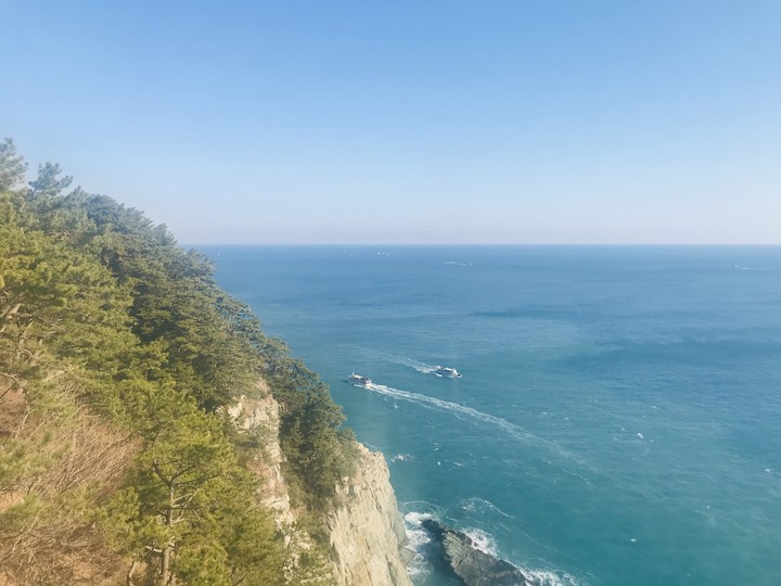 the mountain and the sea