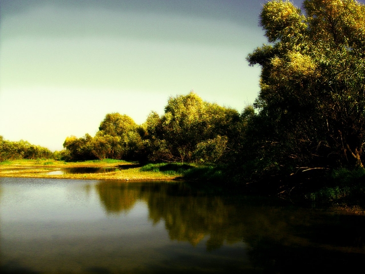 The great Siberian river Ob