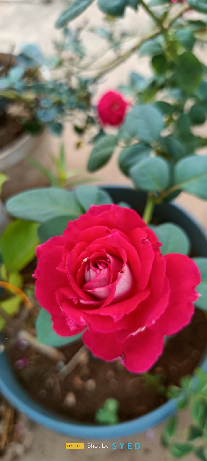 beautiful nature