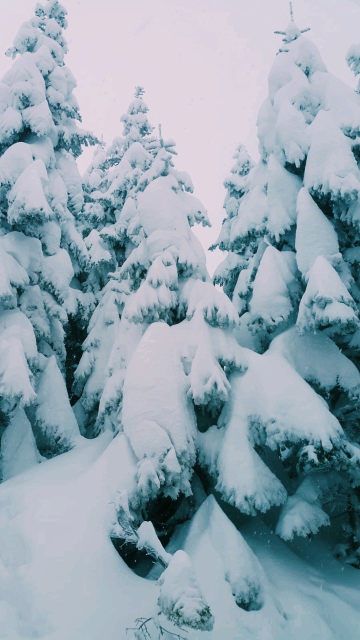 Snowy