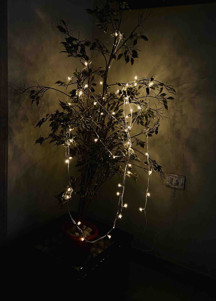 Light