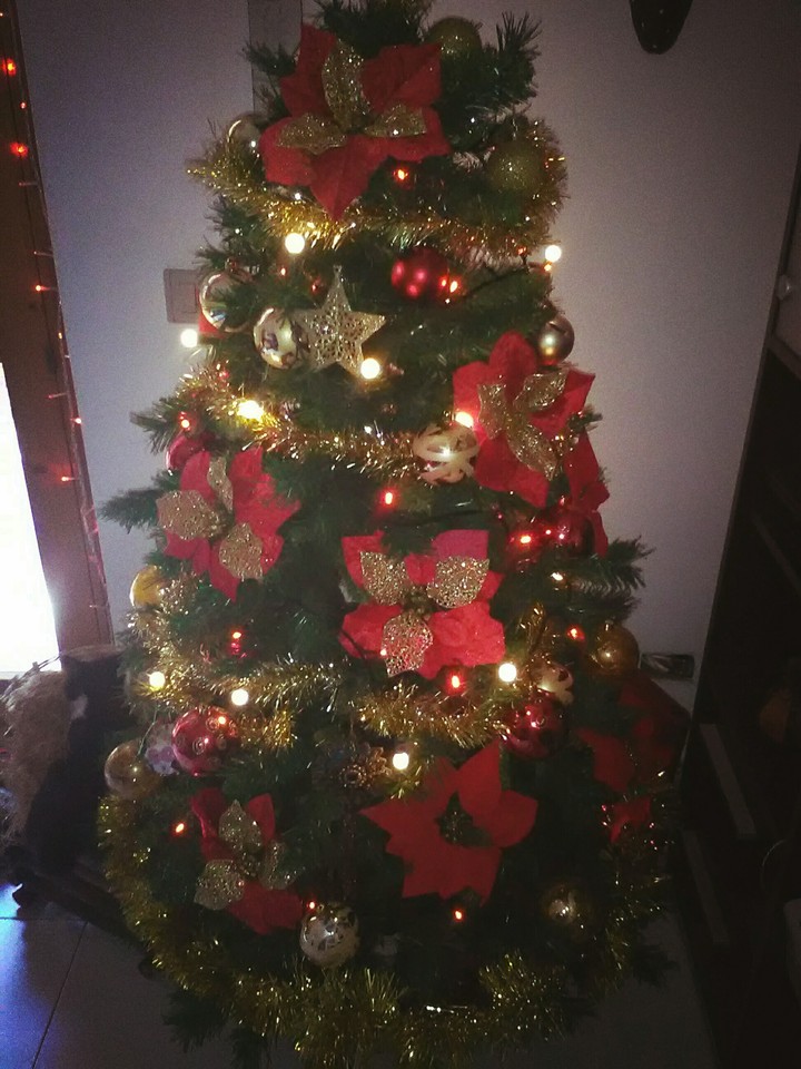 it's christmes time
