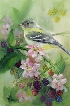 bird