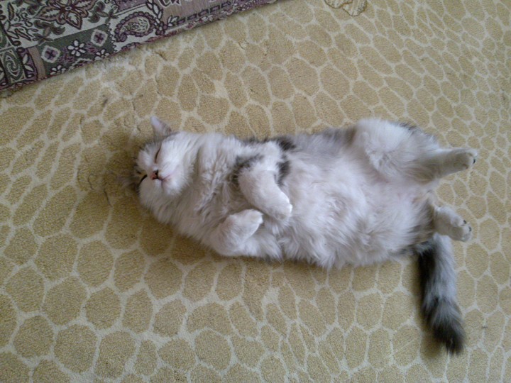 Sleeping