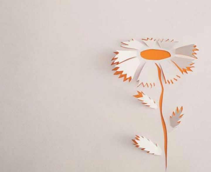 Paper