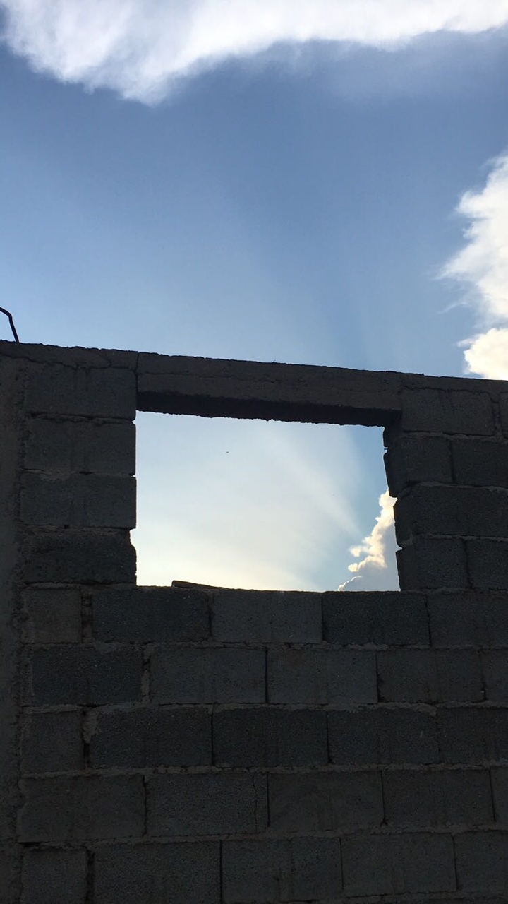 freedom