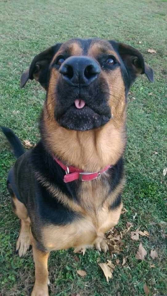 ❤