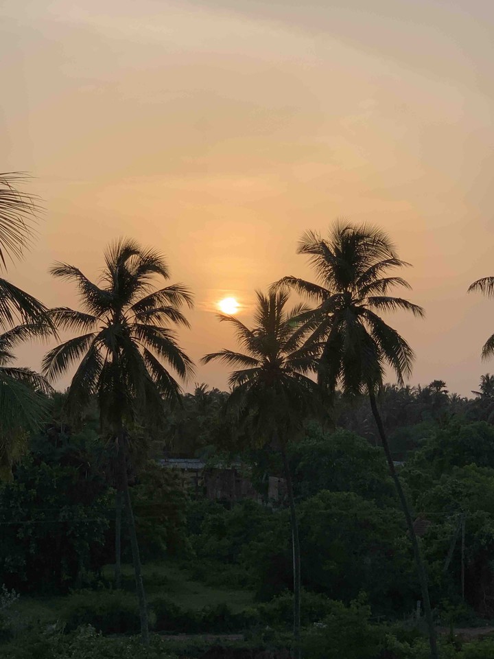sunset