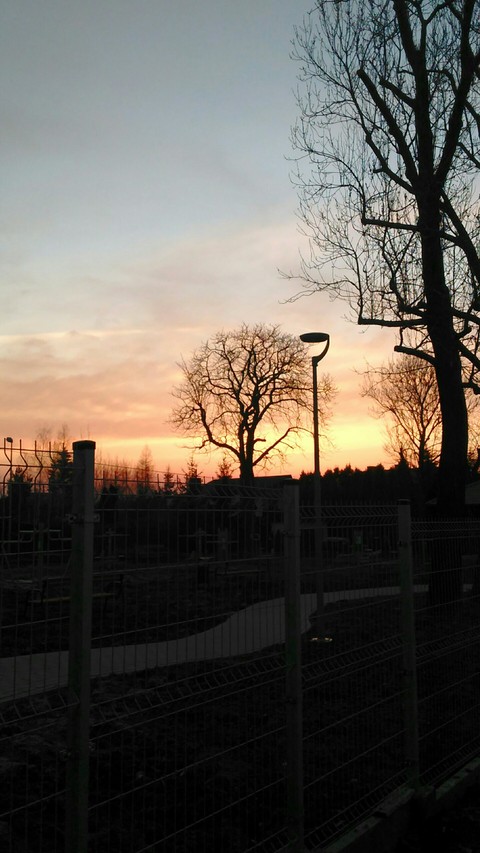 sunset 7