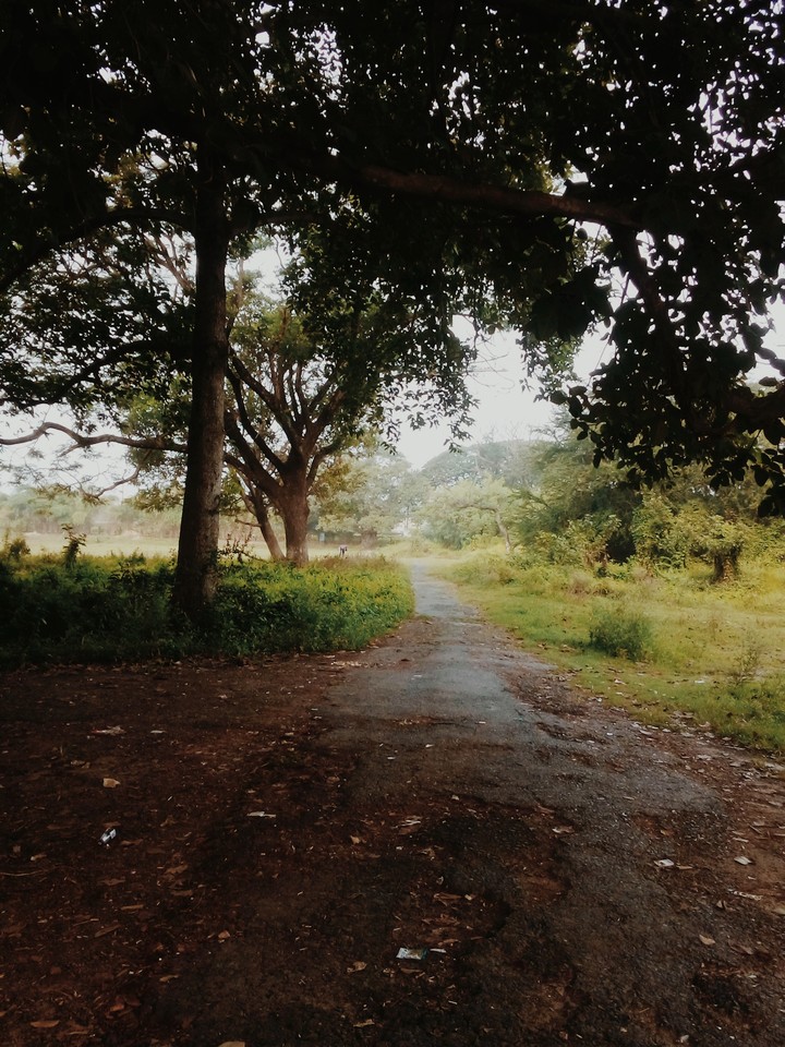 site