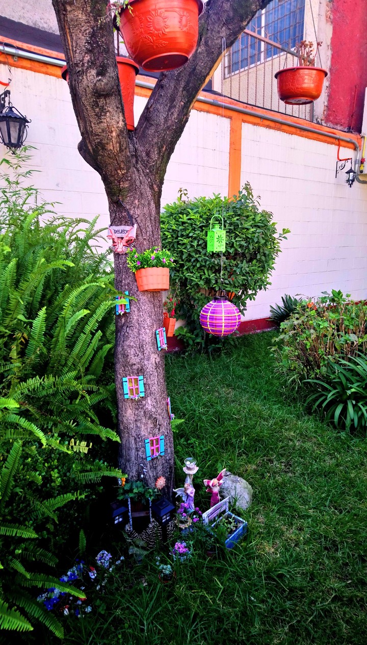 JARDÍN CD DE MÉXICO.