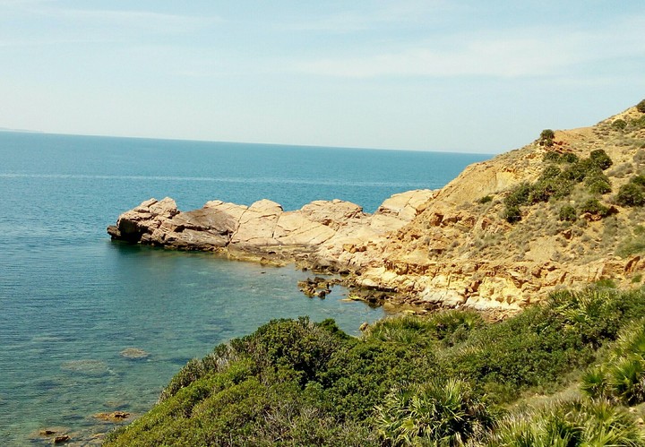 kourbous tunisien