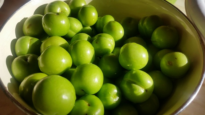 fruits