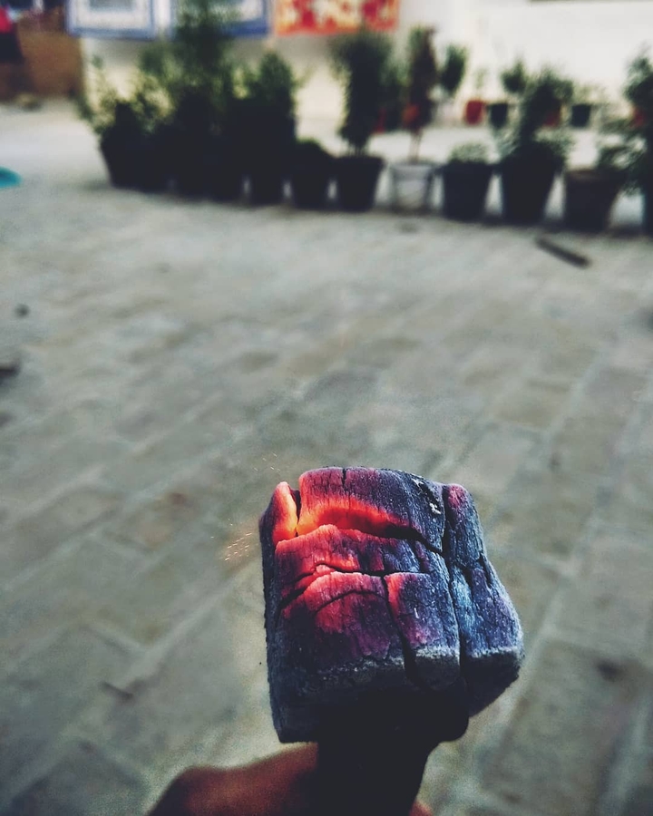 Coal