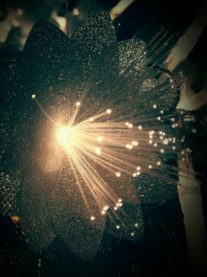 flower.