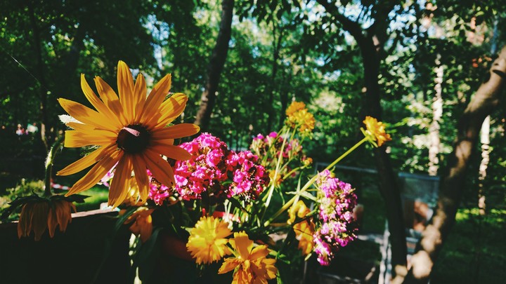 flowers ?