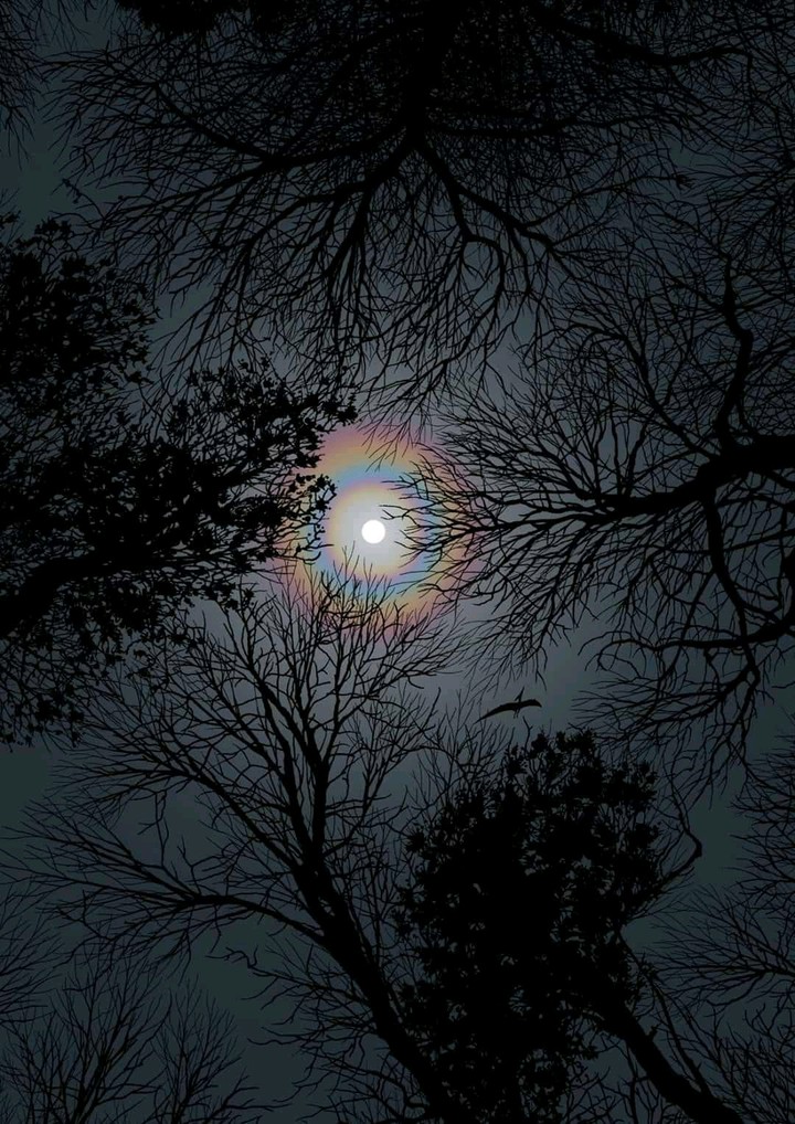 Silver Moon