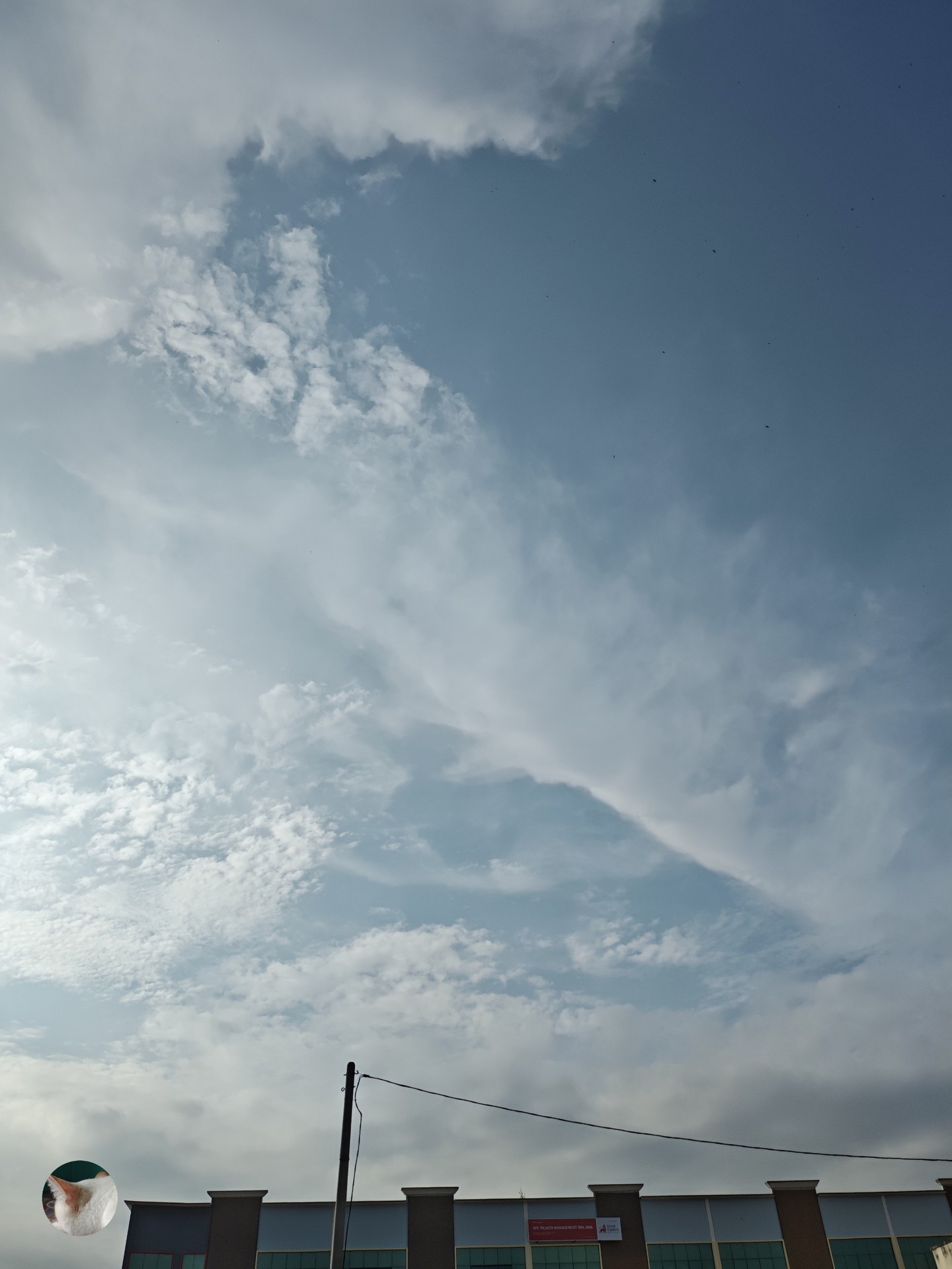 Cumulus, daytime duvar kağıtları