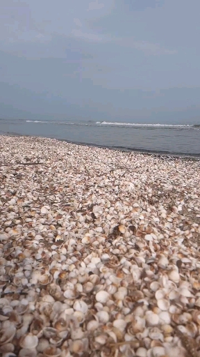 seaside