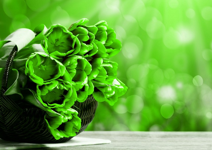 flower 