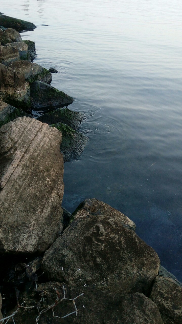 Love Sea