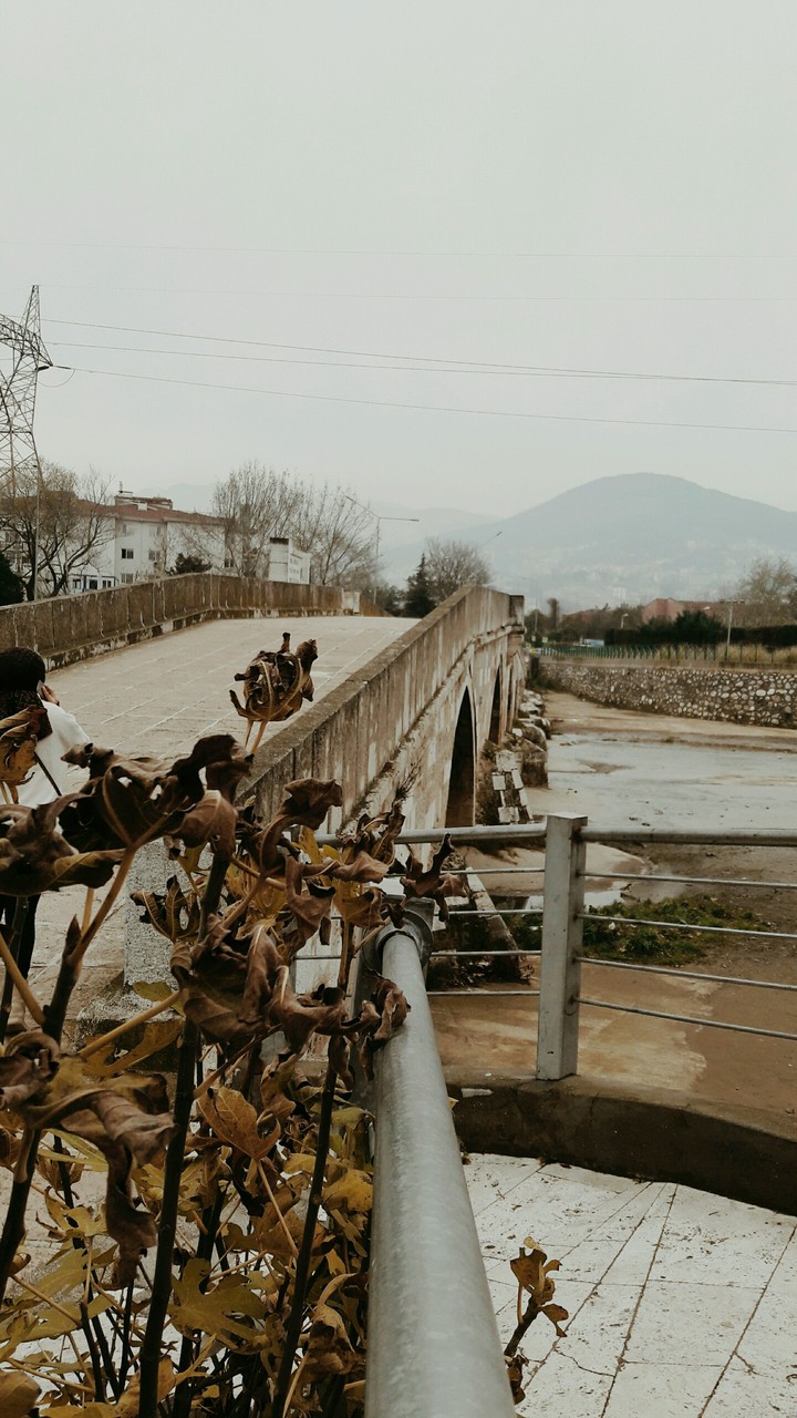 Bursa/acemler