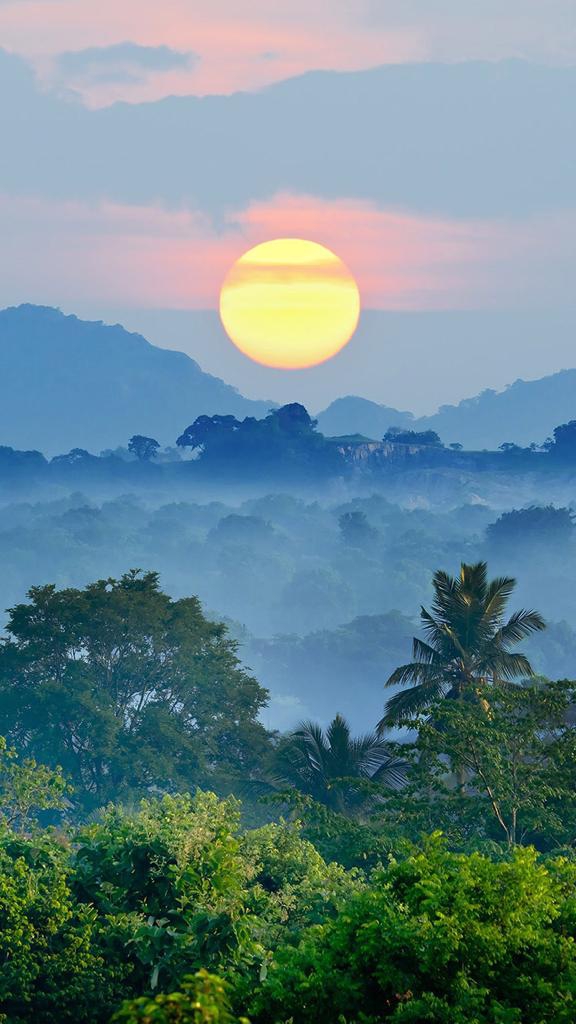 Sun